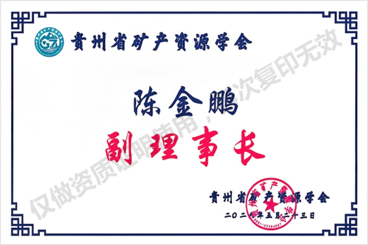 陈金鹏 副理事长